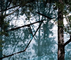 Preview wallpaper trees, branches, shadows, grass, nature