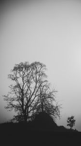 Preview wallpaper trees, branches, silhouettes, black and white, bw