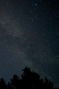 Preview wallpaper trees, branches, silhouettes, night, starry sky