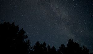 Preview wallpaper trees, branches, silhouettes, night, starry sky