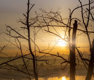 Preview wallpaper trees, branches, silhouettes, sunrise