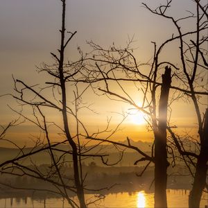 Preview wallpaper trees, branches, silhouettes, sunrise