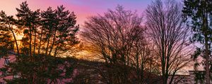 Preview wallpaper trees, branches, sky, nature, landscape