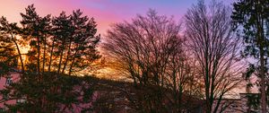 Preview wallpaper trees, branches, sky, nature, landscape