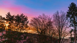 Preview wallpaper trees, branches, sky, nature, landscape