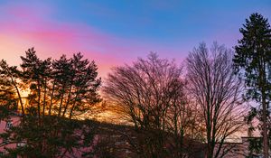 Preview wallpaper trees, branches, sky, nature, landscape