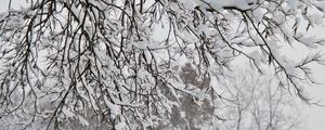 Preview wallpaper trees, branches, snow, winter, white