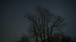 Preview wallpaper trees, branches, stars, night, dark