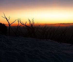 Preview wallpaper trees, branches, twilight, silhouettes, dark