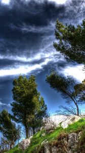 Preview wallpaper trees, break, clouds, sky, air