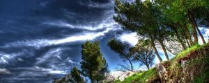 Preview wallpaper trees, break, clouds, sky, air