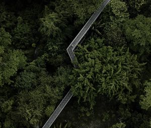 Preview wallpaper trees, bridge, aerial view, forest, green