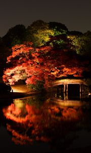 Preview wallpaper trees, bridge, lake, night, dark