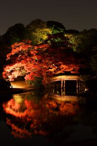 Preview wallpaper trees, bridge, lake, night, dark