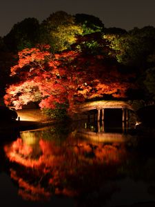 Preview wallpaper trees, bridge, lake, night, dark