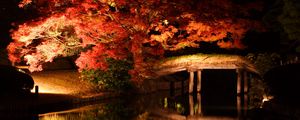 Preview wallpaper trees, bridge, lake, night, dark