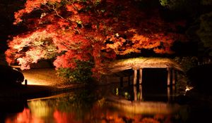 Preview wallpaper trees, bridge, lake, night, dark