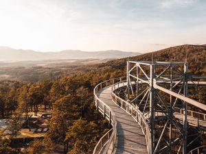 Preview wallpaper trees, bridge, mountains, distance, landscape