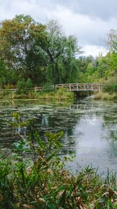 Preview wallpaper trees, bridge, pond, landscape, nature