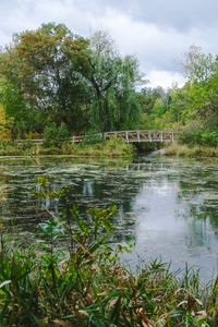 Preview wallpaper trees, bridge, pond, landscape, nature