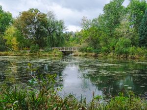 Preview wallpaper trees, bridge, pond, landscape, nature
