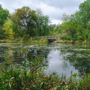 Preview wallpaper trees, bridge, pond, landscape, nature