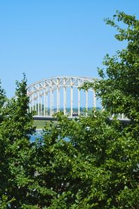 Preview wallpaper trees, bridge, river, sky