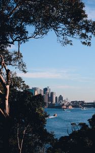 Preview wallpaper trees, buildings, city, river, boats, sky