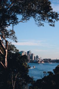 Preview wallpaper trees, buildings, city, river, boats, sky