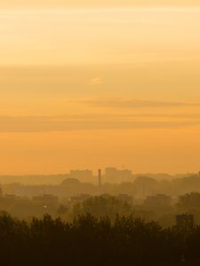 Preview wallpaper trees, buildings, tower, silhouettes, fog, sunrise