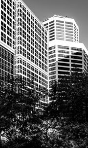 Preview wallpaper trees, buildings, windows, city, bw