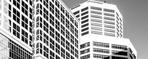 Preview wallpaper trees, buildings, windows, city, bw