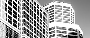 Preview wallpaper trees, buildings, windows, city, bw