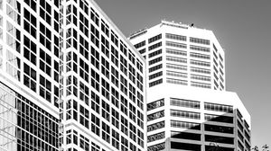 Preview wallpaper trees, buildings, windows, city, bw