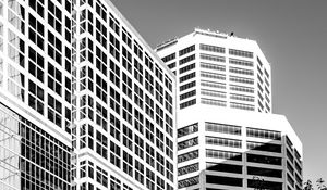 Preview wallpaper trees, buildings, windows, city, bw