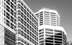 Preview wallpaper trees, buildings, windows, city, bw