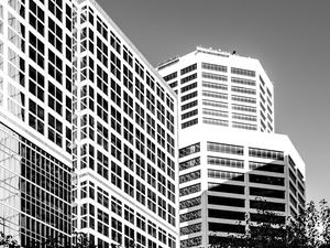 Preview wallpaper trees, buildings, windows, city, bw