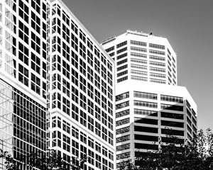 Preview wallpaper trees, buildings, windows, city, bw
