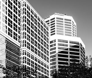 Preview wallpaper trees, buildings, windows, city, bw