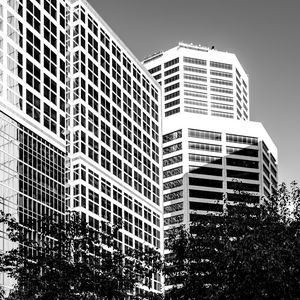 Preview wallpaper trees, buildings, windows, city, bw