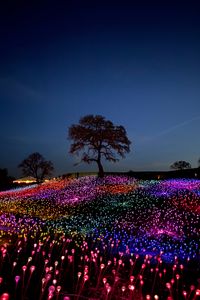 Preview wallpaper trees, bulbs, glow, colorful, night