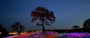 Preview wallpaper trees, bulbs, glow, colorful, night