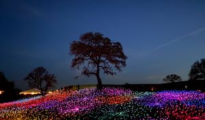 Preview wallpaper trees, bulbs, glow, colorful, night