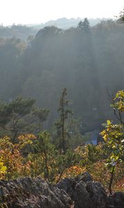 Preview wallpaper trees, bushes, fog, mountains, rocks, light