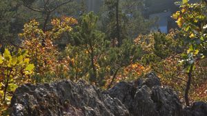 Preview wallpaper trees, bushes, fog, mountains, rocks, light