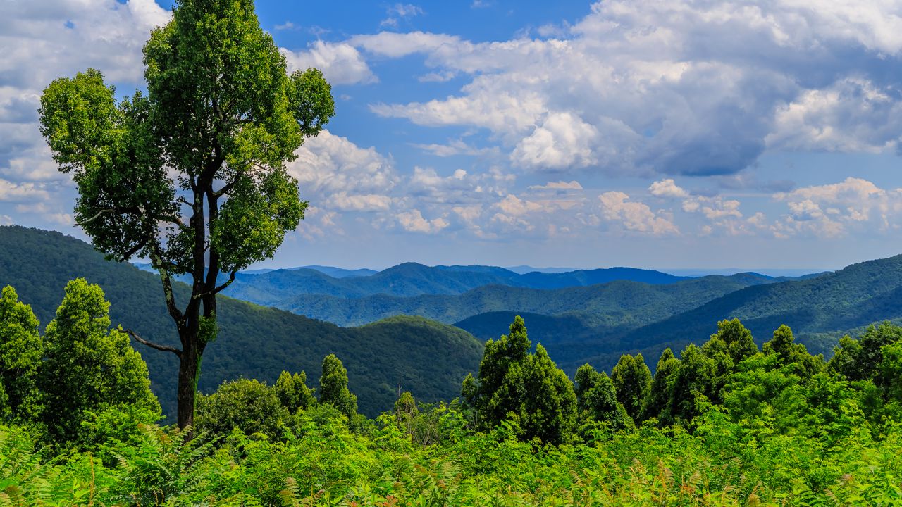 Wallpaper trees, bushes, grass, mountains, clouds, sky, landscape