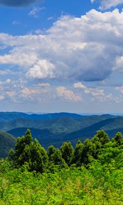 Preview wallpaper trees, bushes, grass, mountains, clouds, sky, landscape