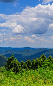 Preview wallpaper trees, bushes, grass, mountains, clouds, sky, landscape