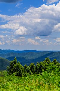 Preview wallpaper trees, bushes, grass, mountains, clouds, sky, landscape