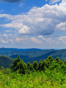Preview wallpaper trees, bushes, grass, mountains, clouds, sky, landscape